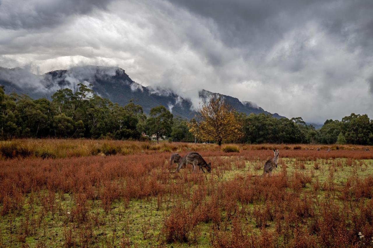 Halls Gap Lakeside Tourist Park Exterior foto